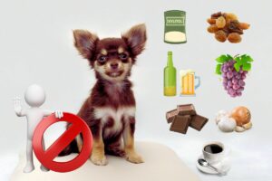 Alimentos Perigosos