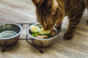 Alimentos Humanos
