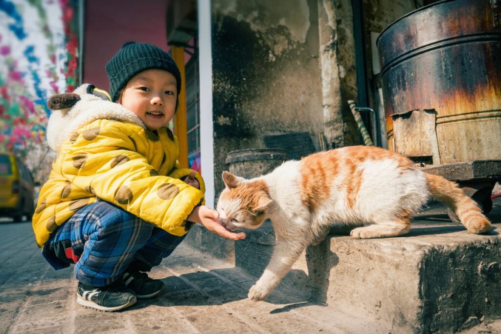 Crianças e Gatos