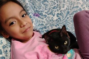 Crianças e Gatos