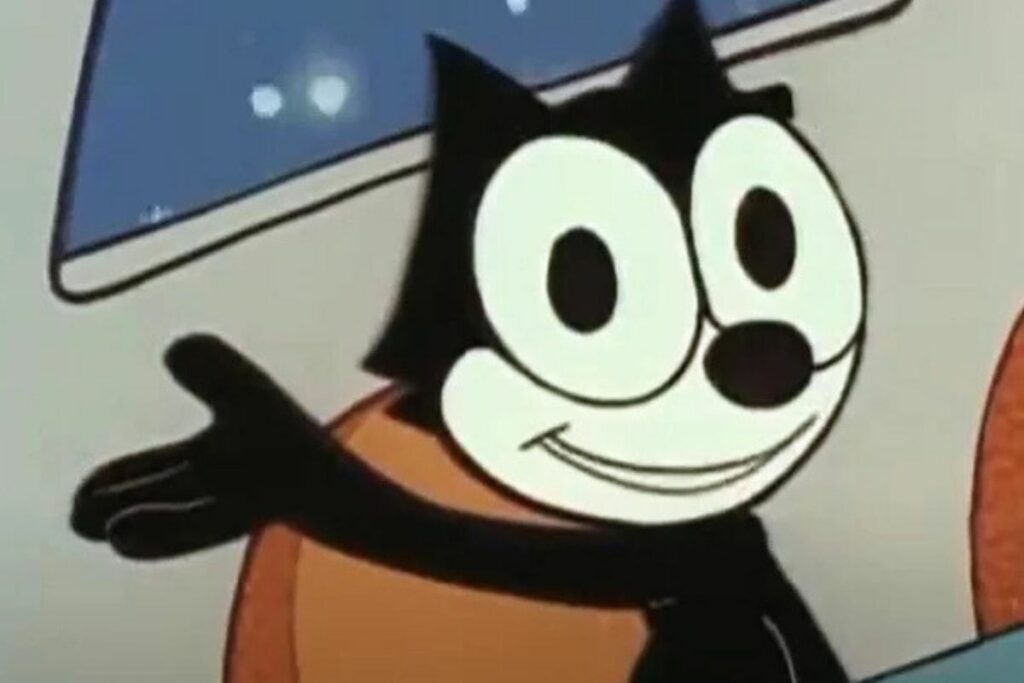 gato