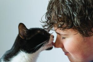 Raças de gatos mais afetuosas do mundo