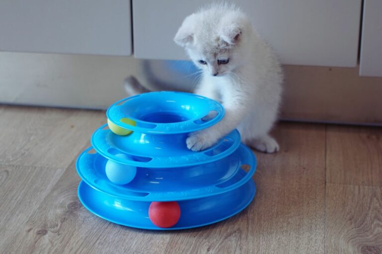 Brinquedos para gatos