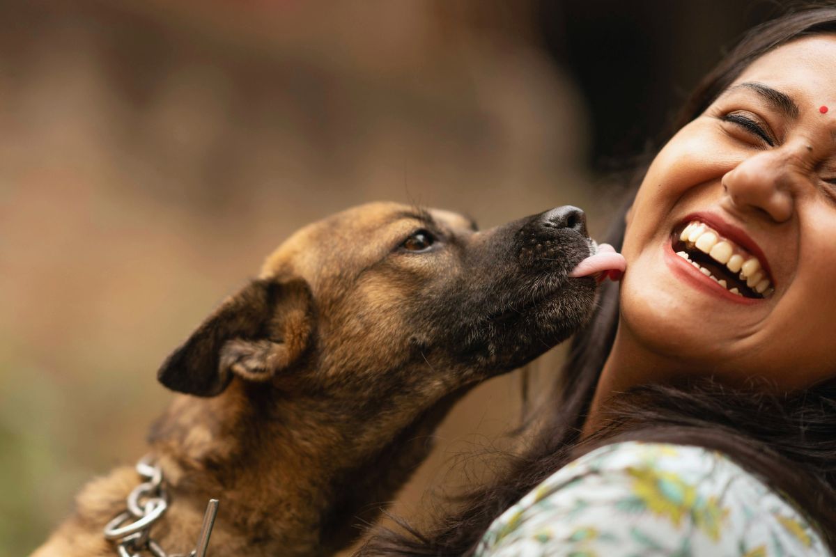 Cão lambendo: o que isso realmente significa? Canal dos Peludos