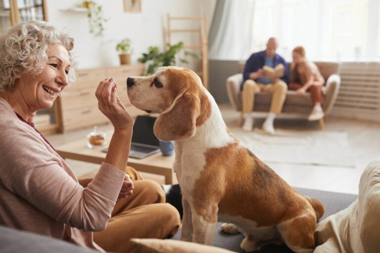 Características de quem conversa com pets
