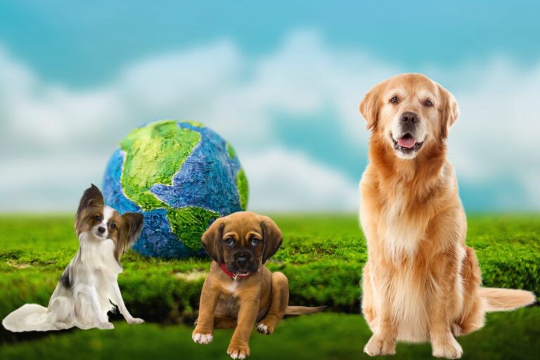 Dia mundial dos cachorros