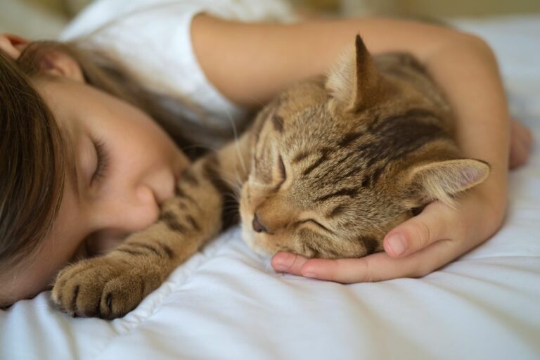 Gato macho dorme com você