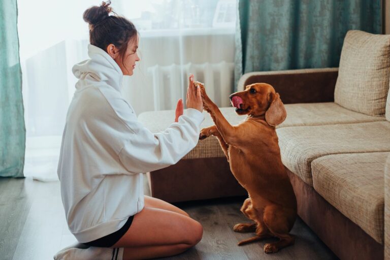Cachorro apoiando a pata em você