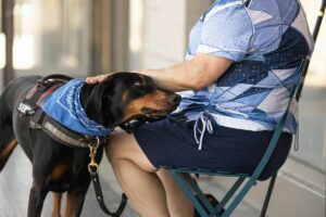 Cães no lugar de filhos