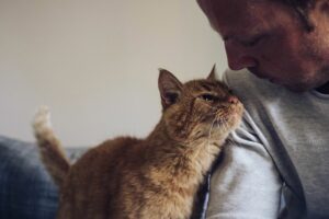 O que o gato enxerga quando te olha?