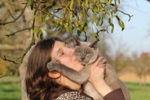 Gato escolhe seu humano