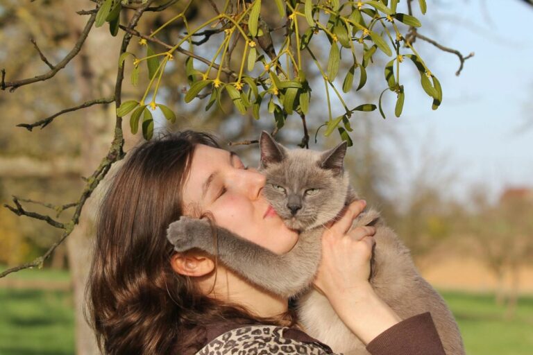 Gato escolhe seu humano
