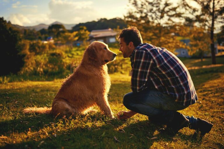 Os cães mais leais