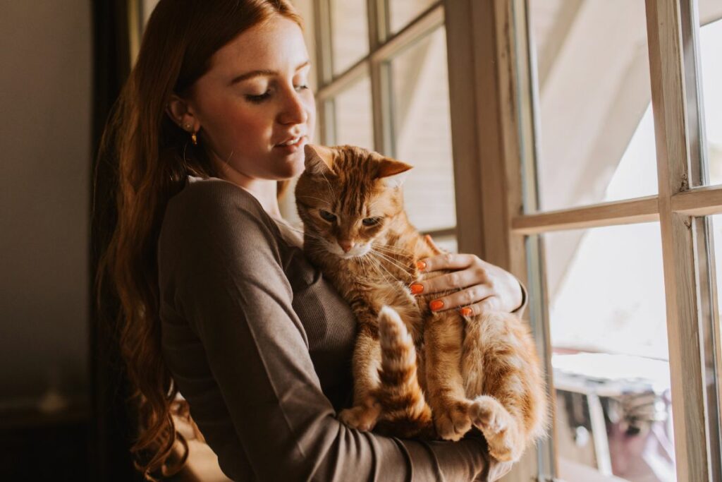 Gatos sofrem de depressão