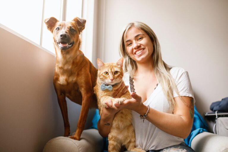 Não brinque com seu pet