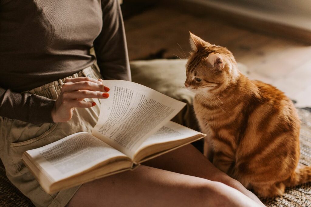 O segredo dos gatos