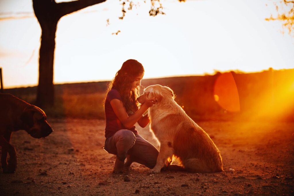 pet
