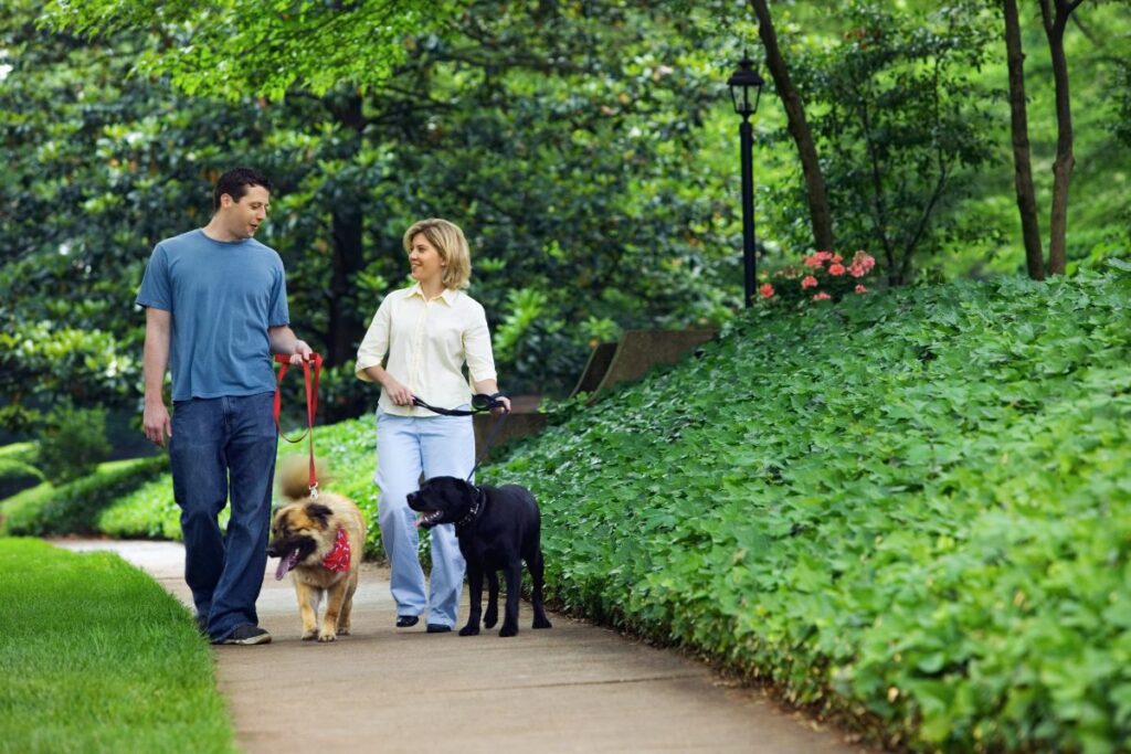 Pets que curam