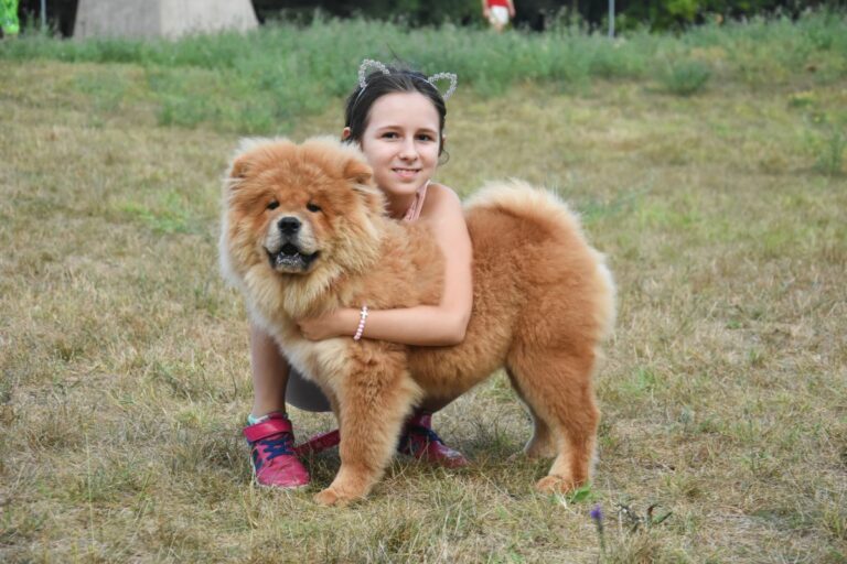 Raças de cachorro