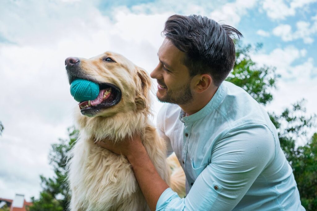 Seu cachorro está velhinho