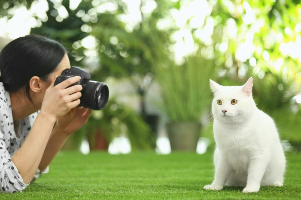 Seu pet no Instagram