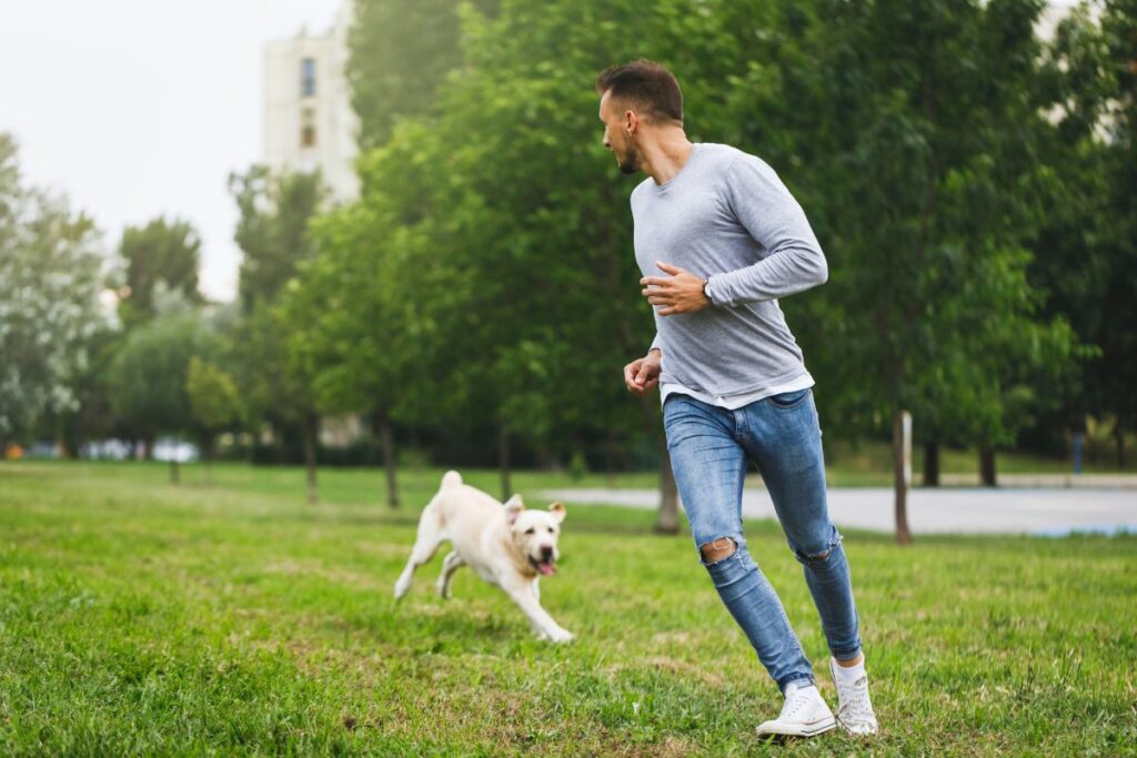 Adolescência canina
