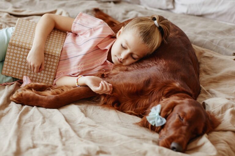 Cães gostam de dormir com as crianças