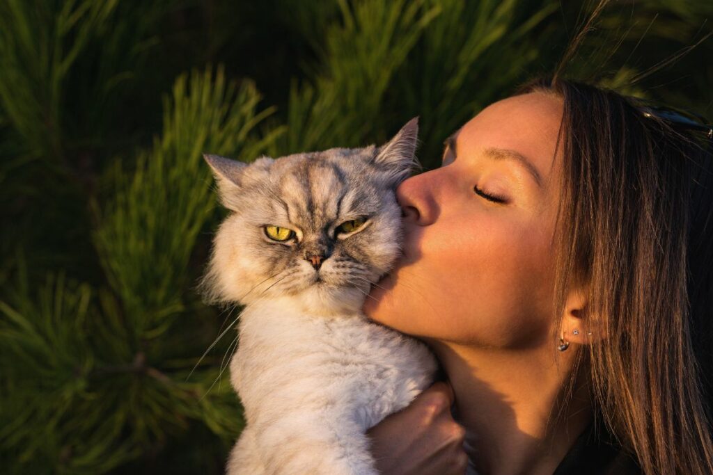 Cheiros e  gatos