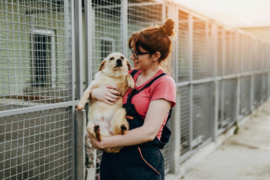 Como adotar um pet com confiança