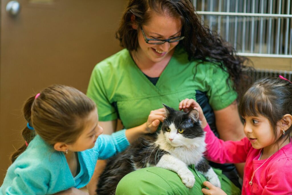 Como adotar um pet com confiança