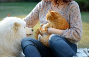 Quem entende melhor o dono