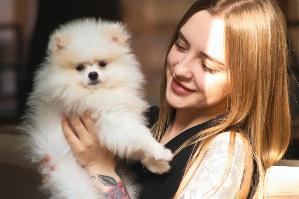 Adoção  cresce no Brasil