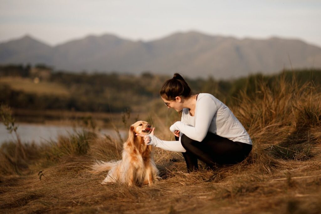 Expressões do seu cachorro