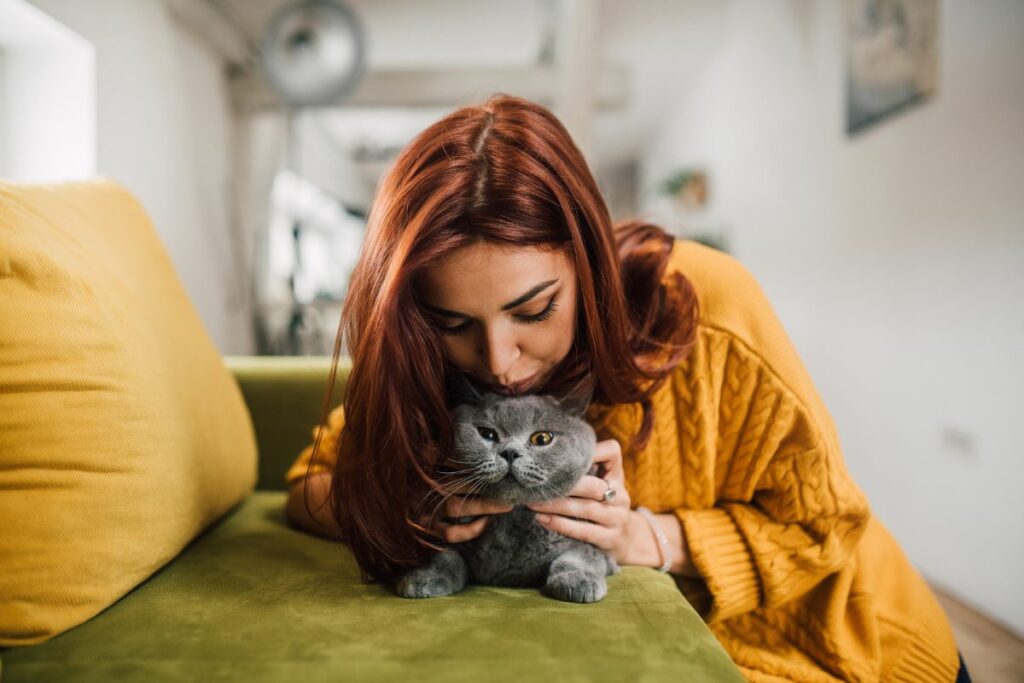 Gatos entendem um beijo