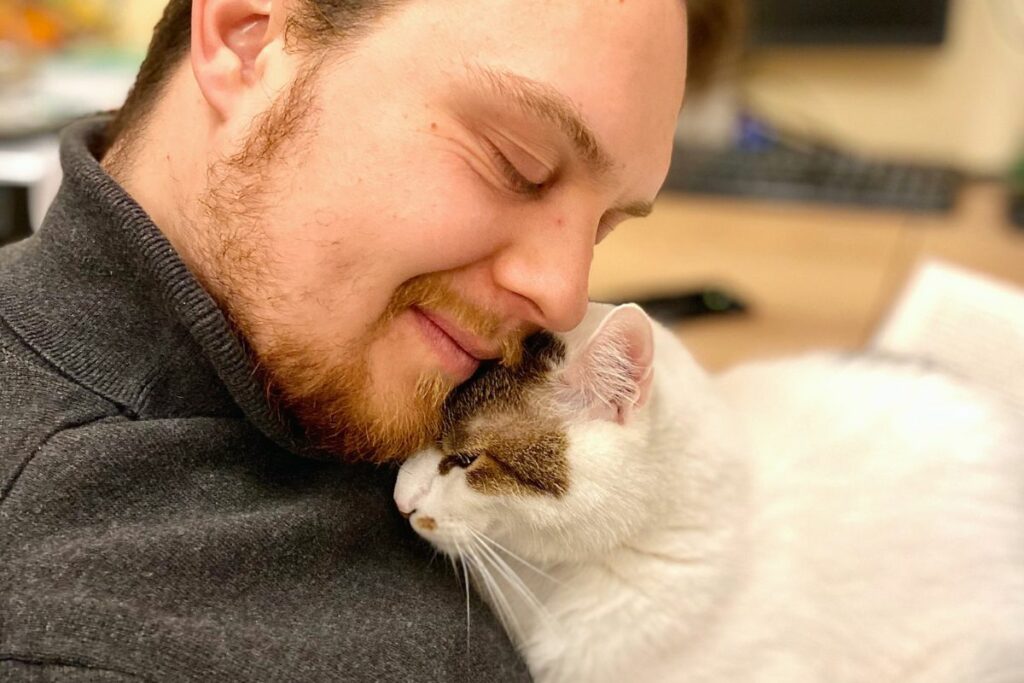 Gatos reconhecem seus donos