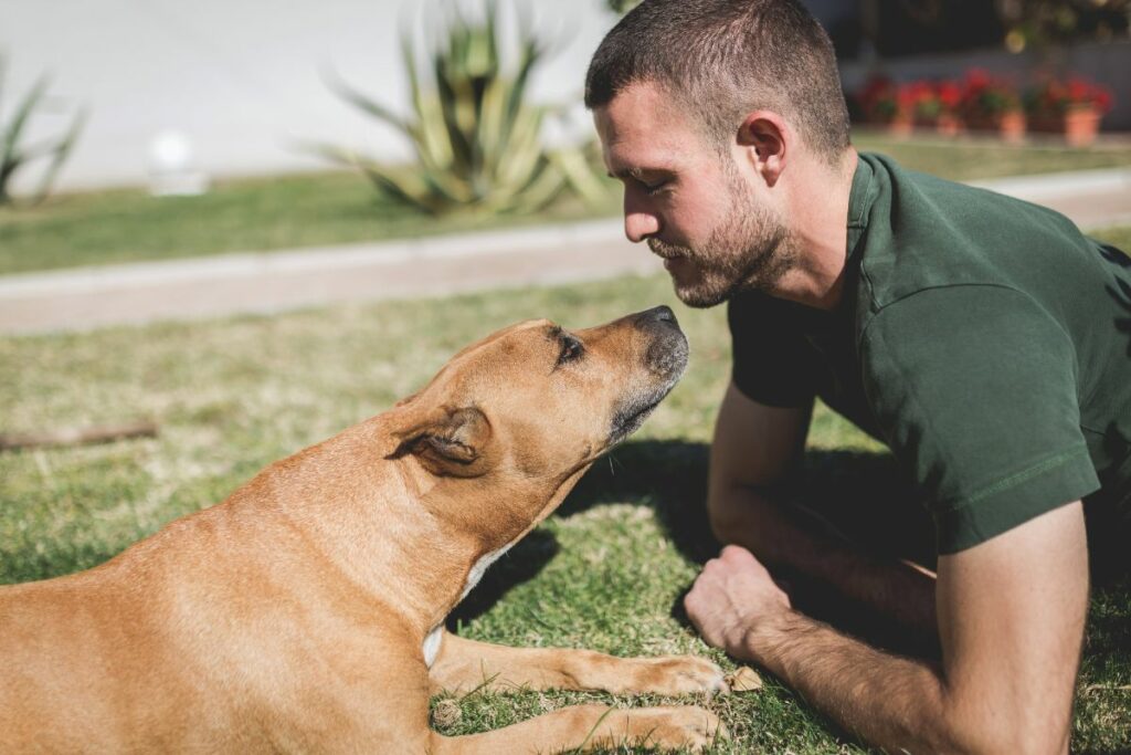 Seu cachorro entende o que você fala? 